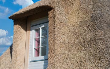 Chipstable thatch roof disadvantages